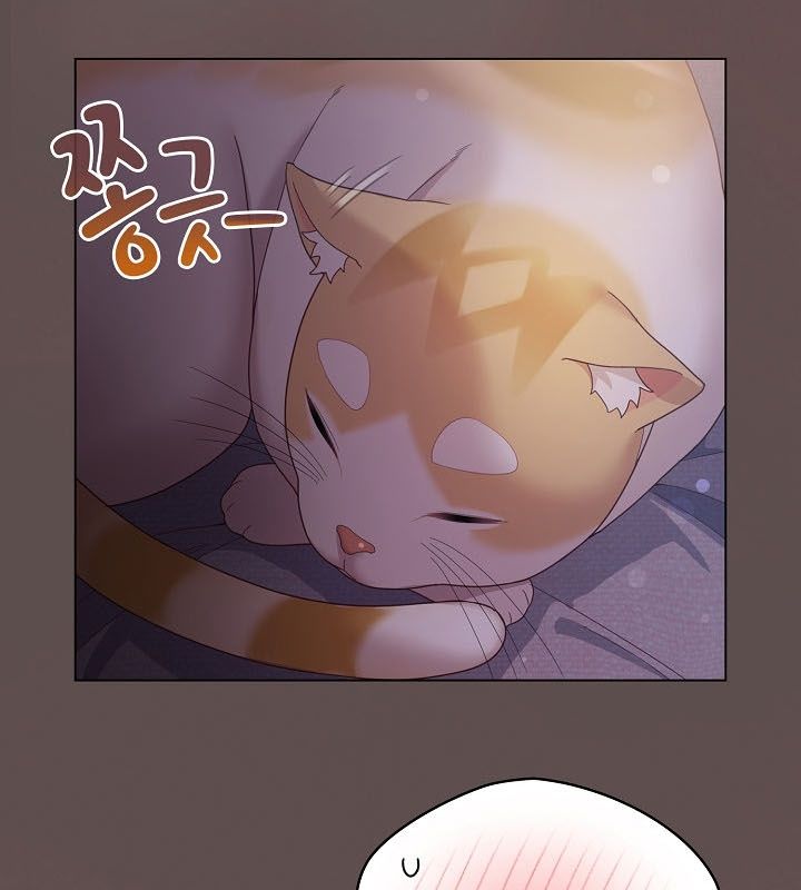 貓貓牽紅線第10話