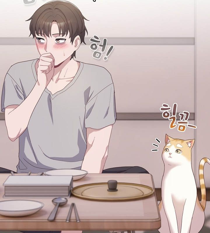 猫猫牵红线第10话