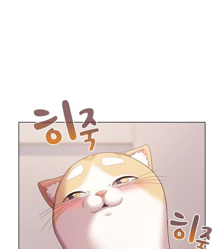 貓貓牽紅線第10話