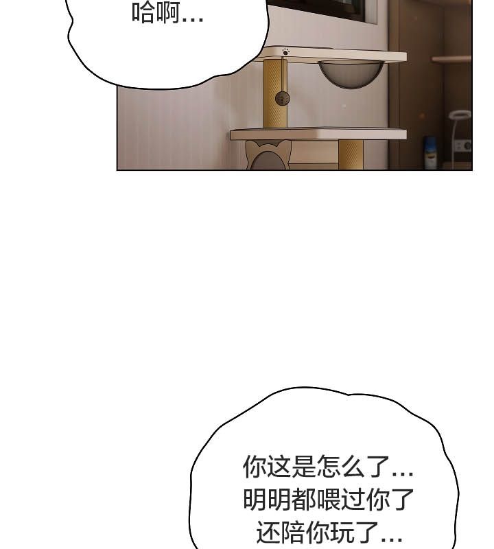 猫猫牵红线第11话