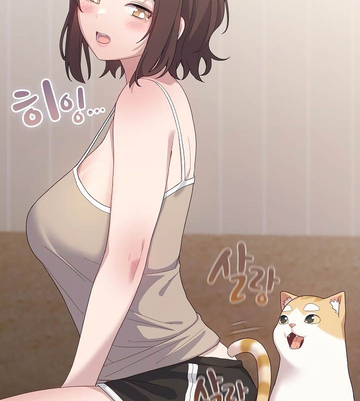 貓貓牽紅線第11話