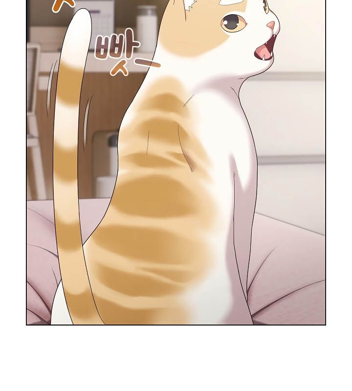 貓貓牽紅線第11話