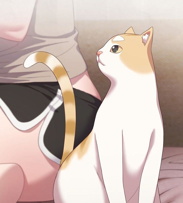 貓貓牽紅線第11話