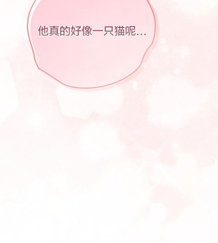 貓貓牽紅線第12話