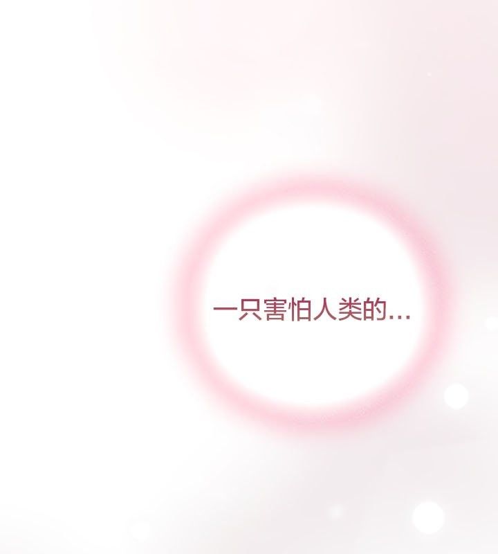 貓貓牽紅線第13話