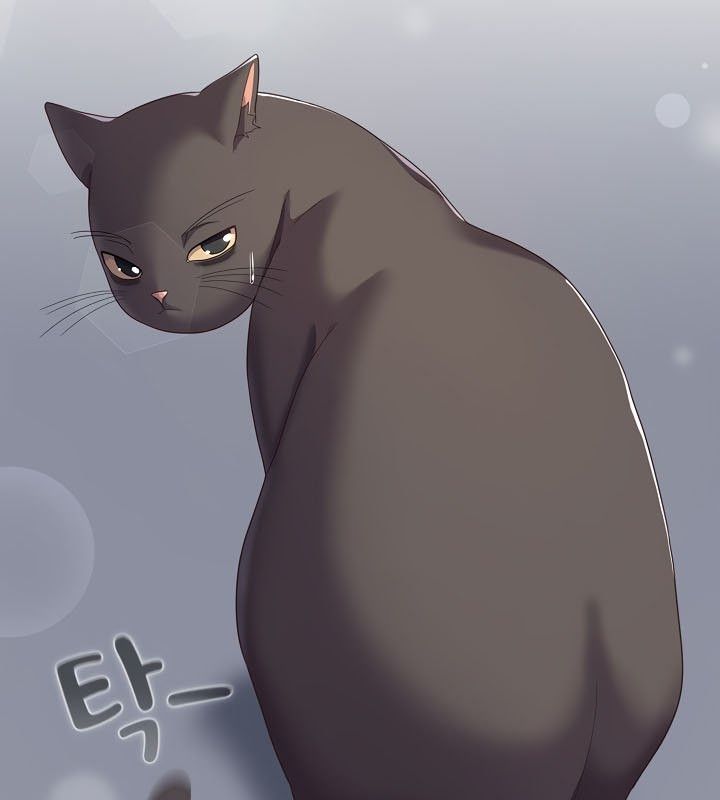 猫猫牵红线第13话