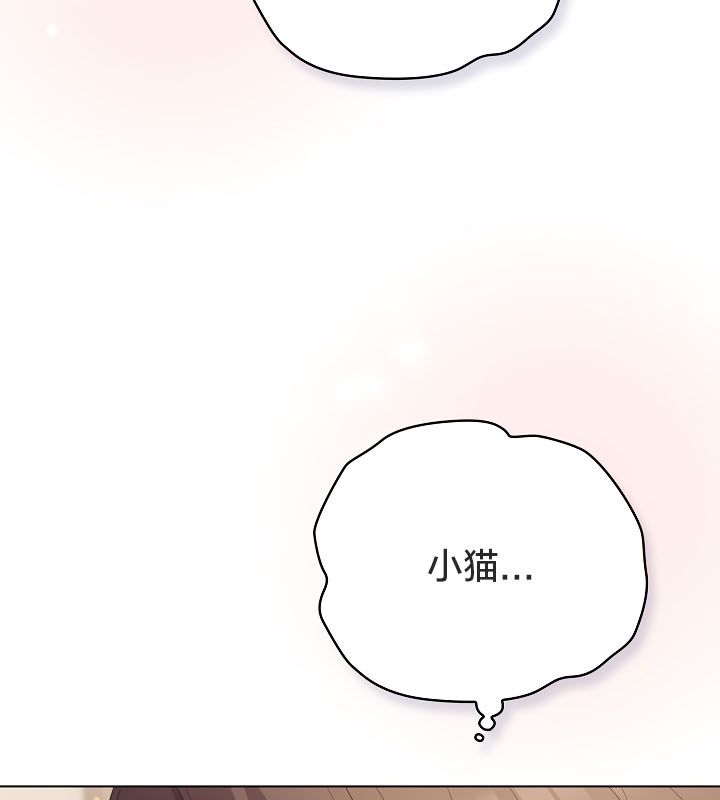 猫猫牵红线第13话