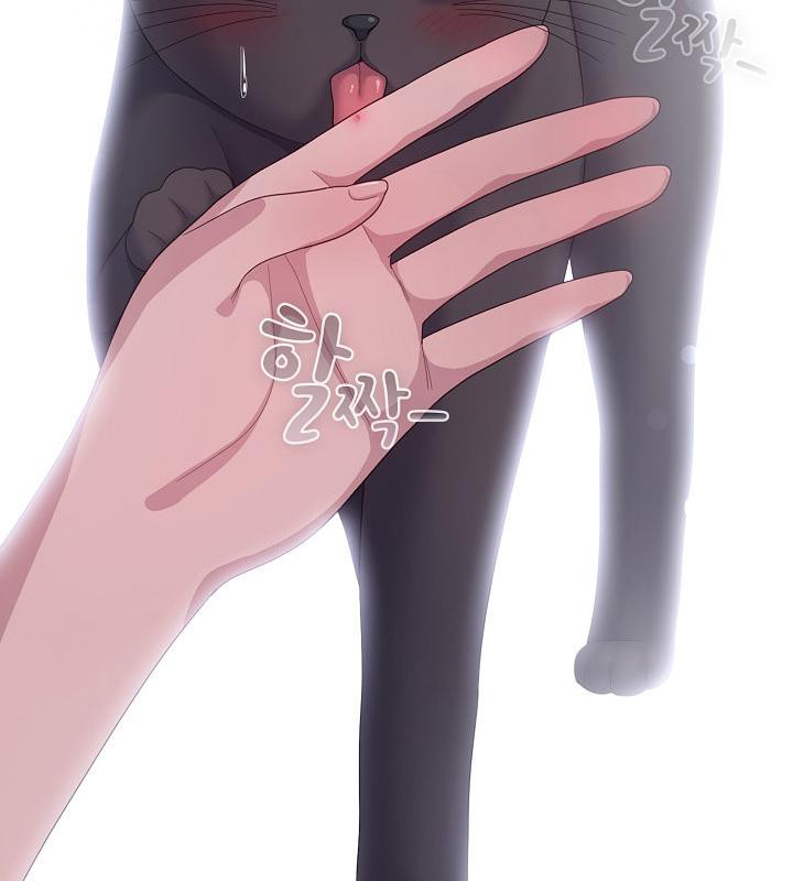 貓貓牽紅線第14話