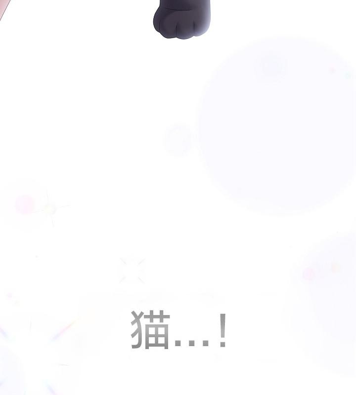 貓貓牽紅線第14話