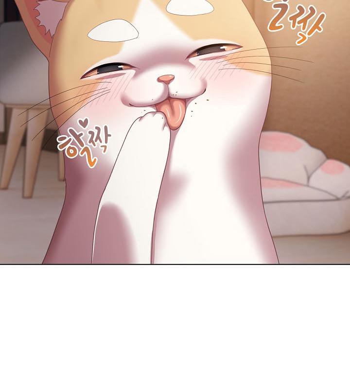 猫猫牵红线第18话