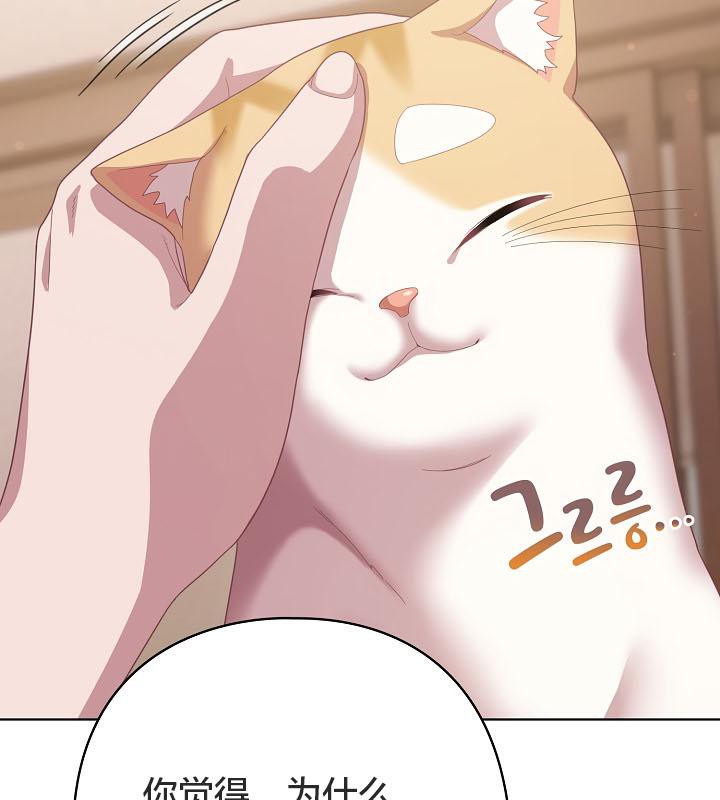 猫猫牵红线第18话