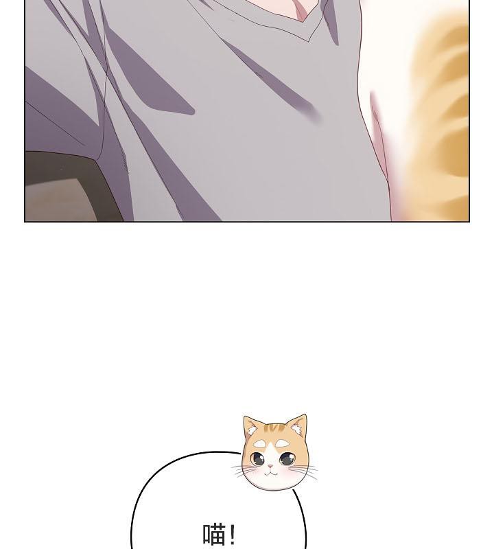 貓貓牽紅線第18話