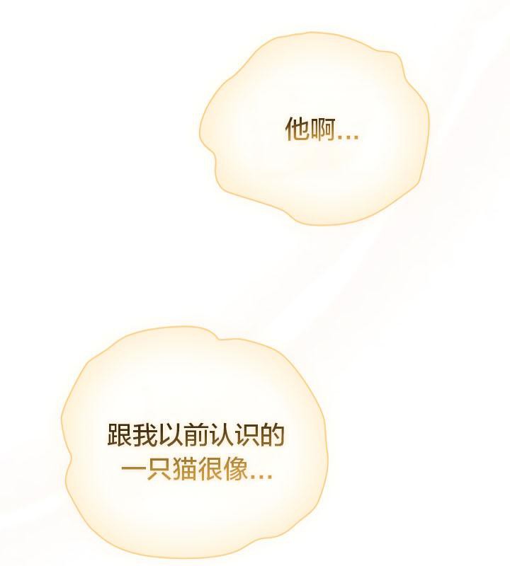 猫猫牵红线第19話