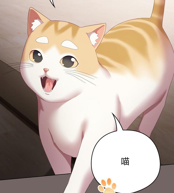 貓貓牽紅線第20話