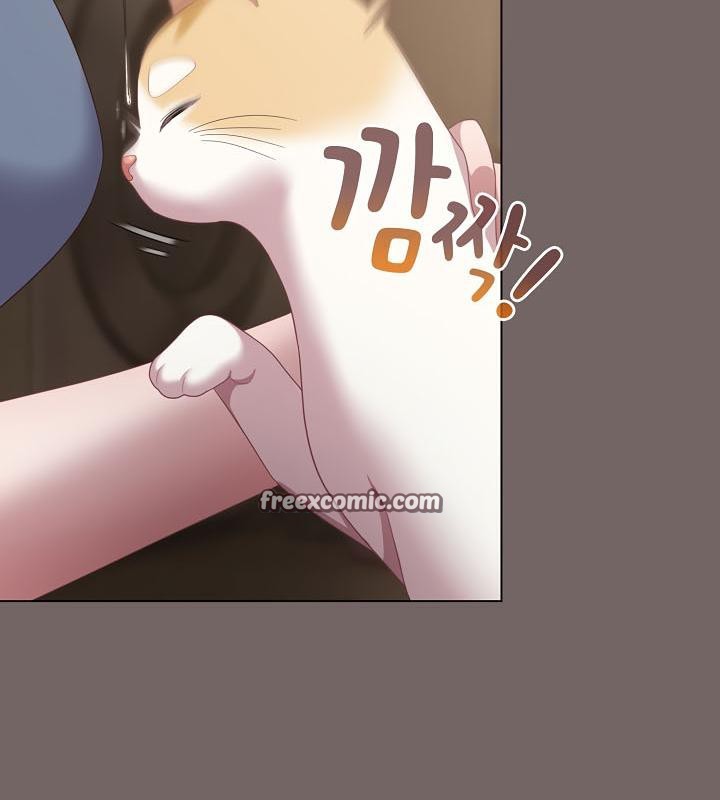 貓貓牽紅線第20話