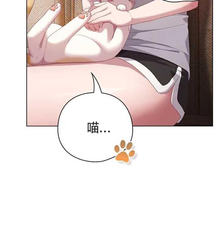 貓貓牽紅線第23話