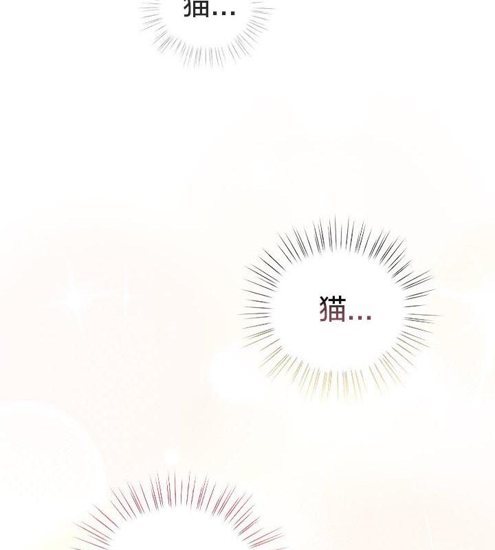 猫猫牵红线第24話