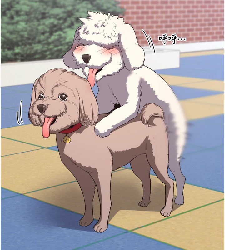 熟女交换计画第5話-你的發育都集中在這裡了