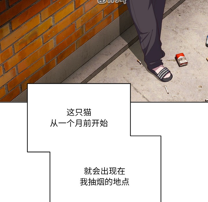 喵来的恋爱第1話