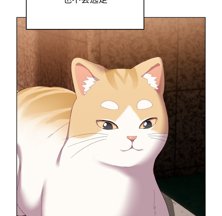 喵来的恋爱第1話