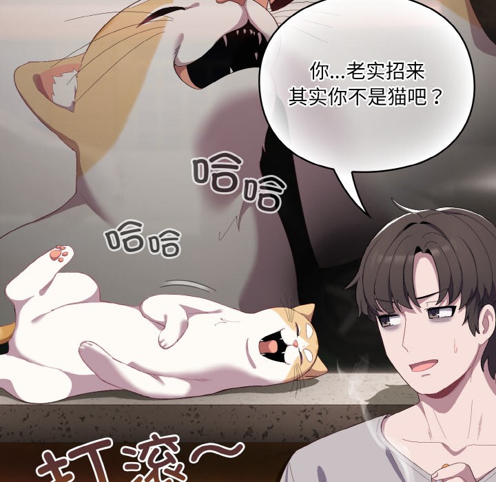 喵来的恋爱第1話