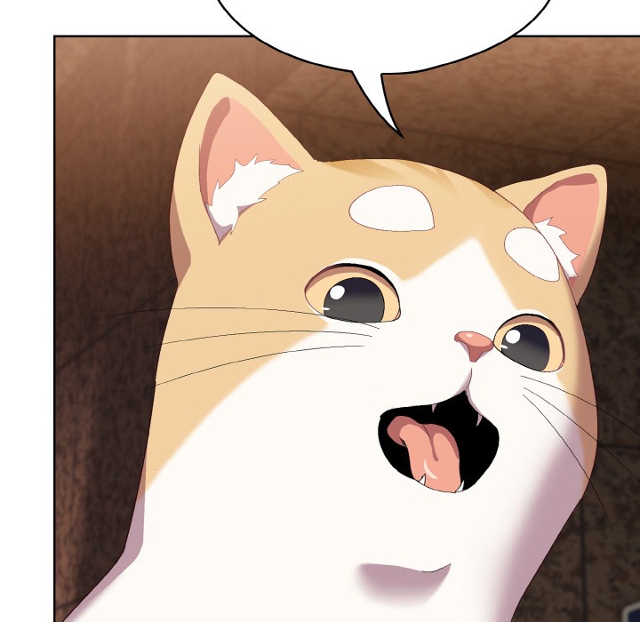 喵来的恋爱第1話