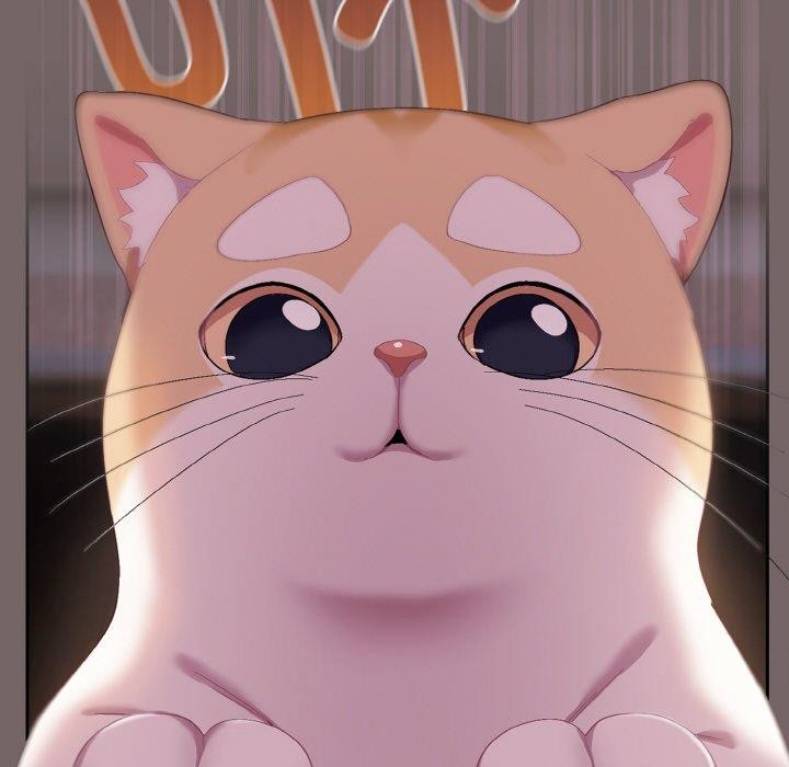 喵来的恋爱第3话