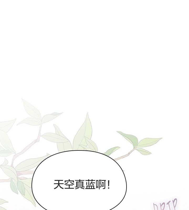 猫猫牵红线第28話