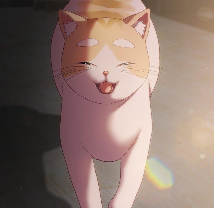 喵来的恋爱第9話