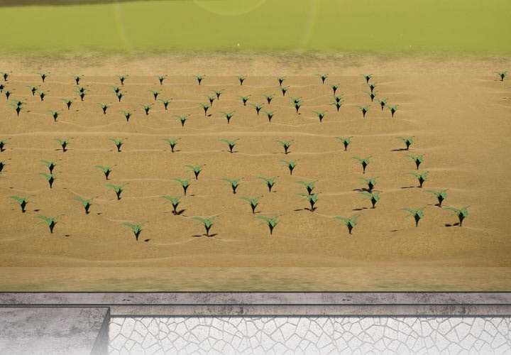 傻瓜病毒第13話