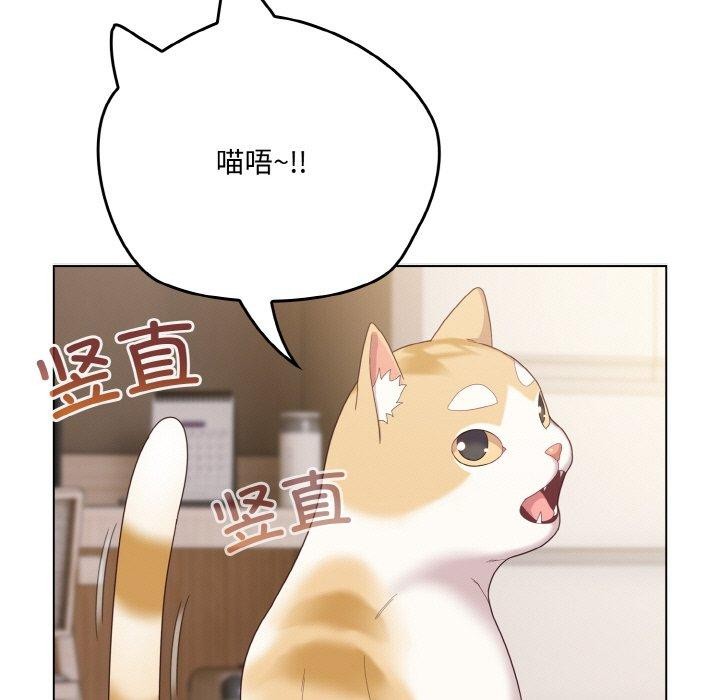 喵来的恋爱第11話