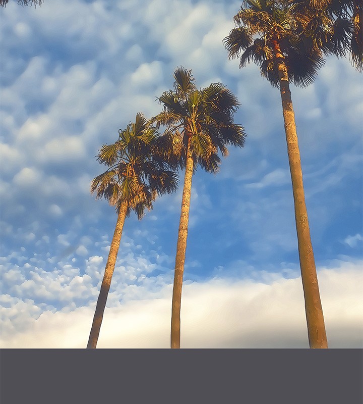 纵夏夜之梦(无码版)第47話-終於要替處女開苞了