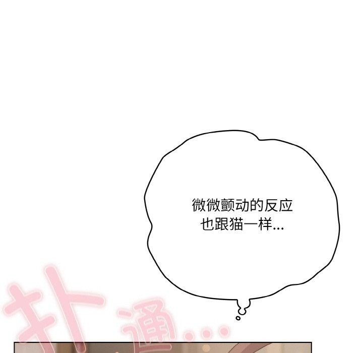 喵来的恋爱第13話