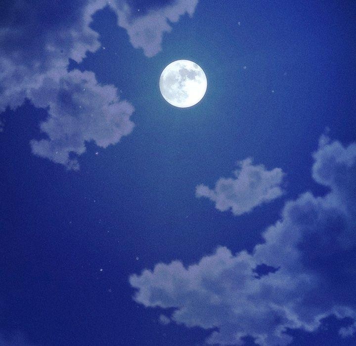 会长家的小儿子第10話