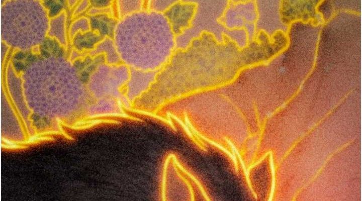 命运:贞洁慾女第40話-到手淫會斬女牌