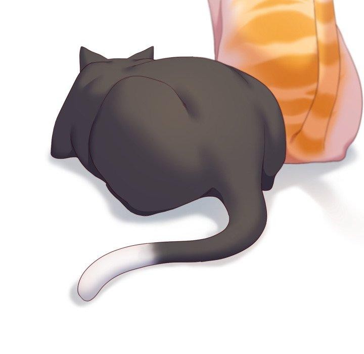 喵来的恋爱第19話