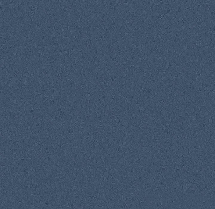 会长家的小儿子第16話