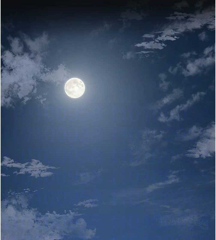 花容湿色:取花点第60話-幫小姐揉一揉