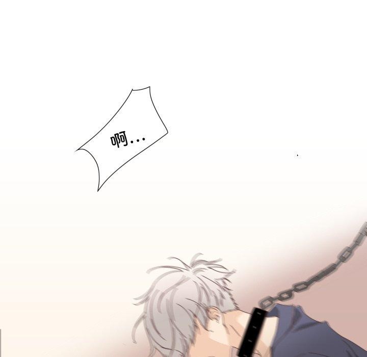 纯洁之罪第12話