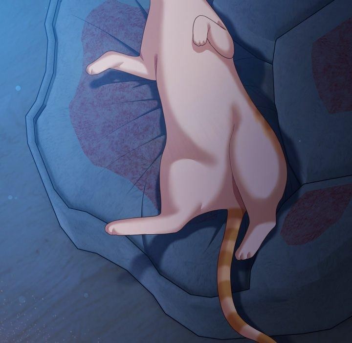 喵来的恋爱第27話