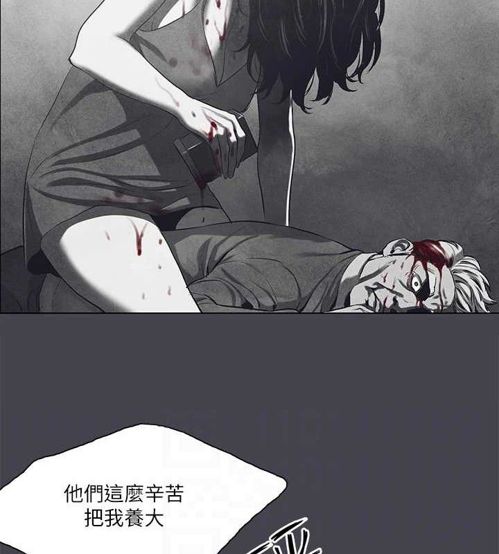 纵夏夜之梦(无码版)第111話-爺爺失蹤的真相