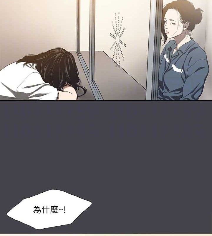 纵夏夜之梦(无码版)第112話-人生中最美好的夏天