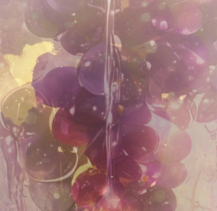 极乐之神第55話