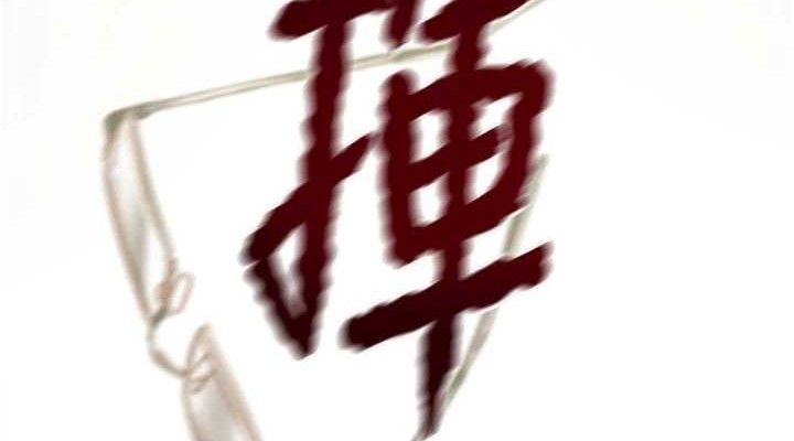 掠夺行动第67話-錯信的代價