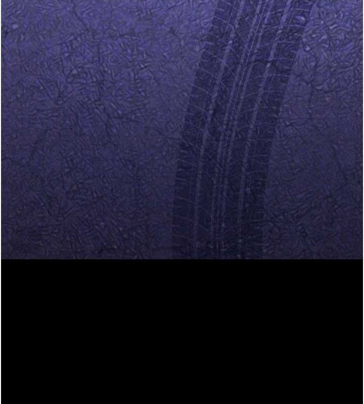 选手村:母猪调教第41話-報仇之後獲得的專用小穴