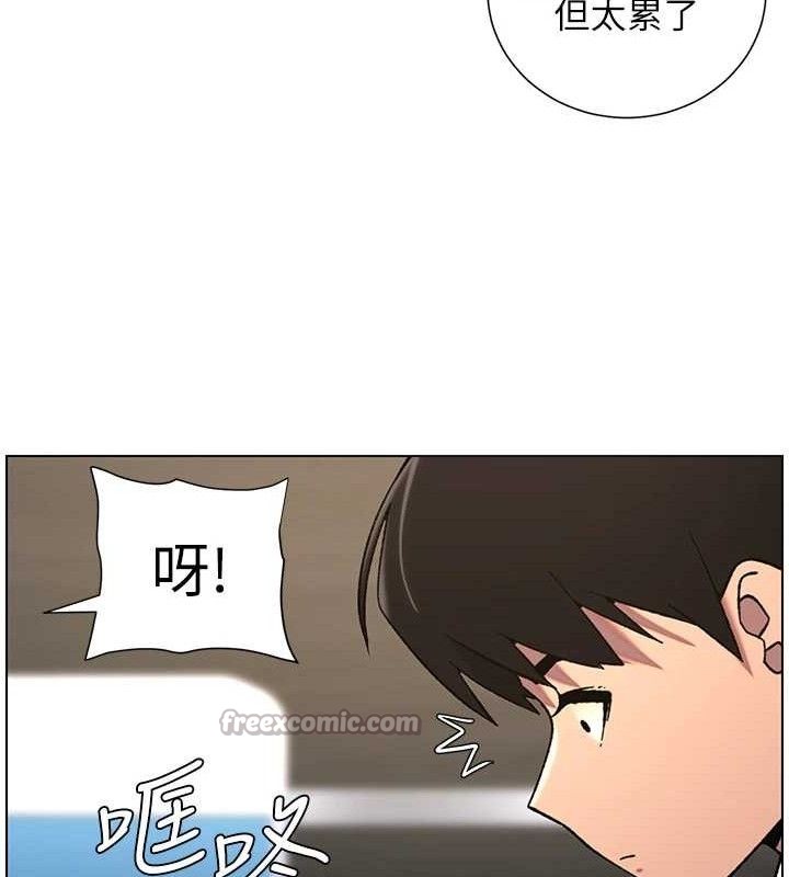 兄妹的秘密授课第73話-天降正妹新對手