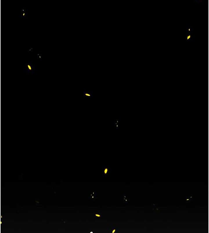 选手村:母猪调教第45話-無法擺脫仇恨的束縛