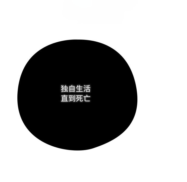 喵来的恋爱第36話