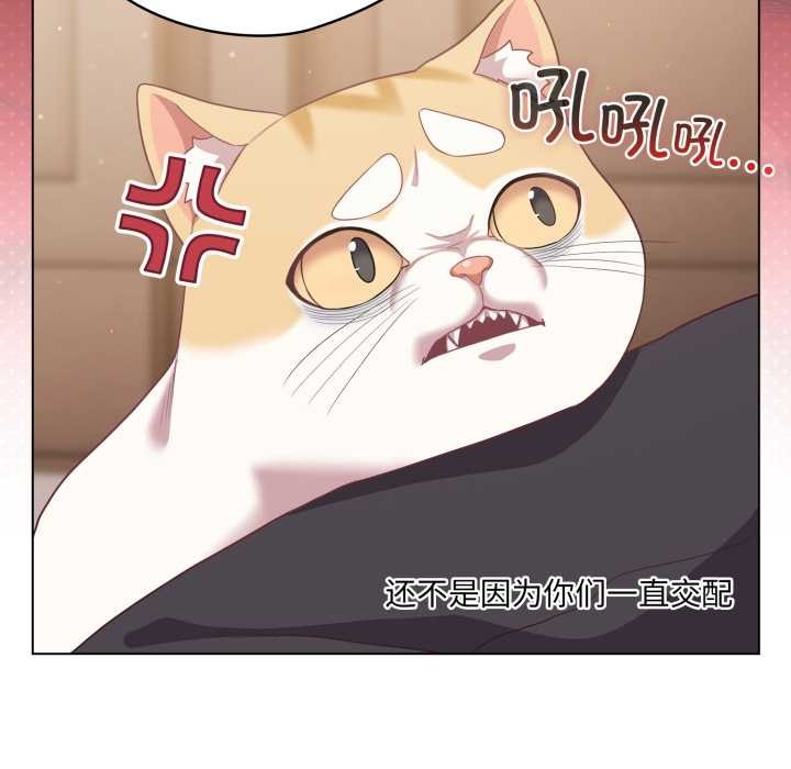 喵來的戀愛第38話