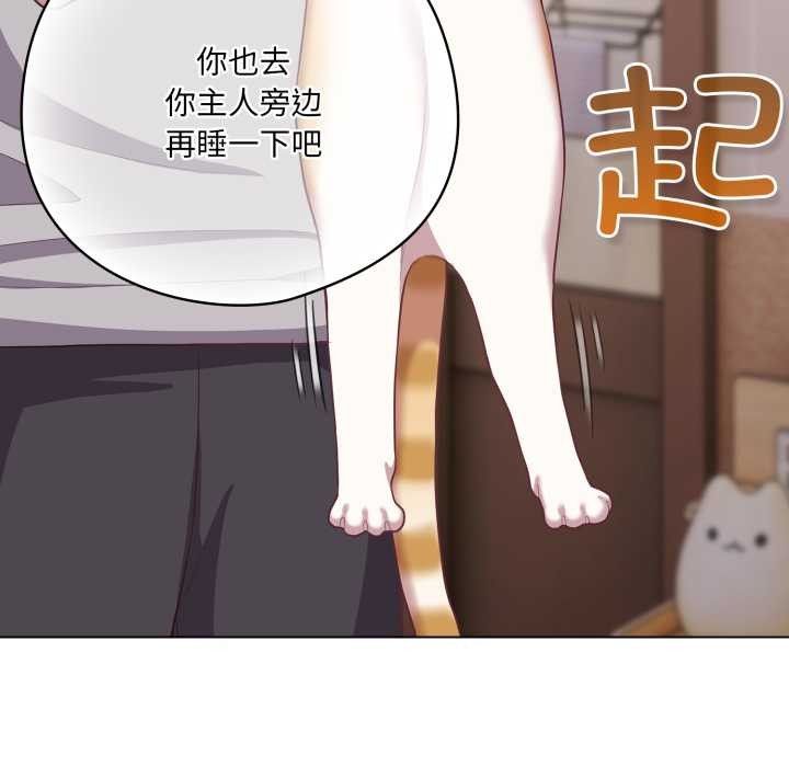 喵来的恋爱第38話